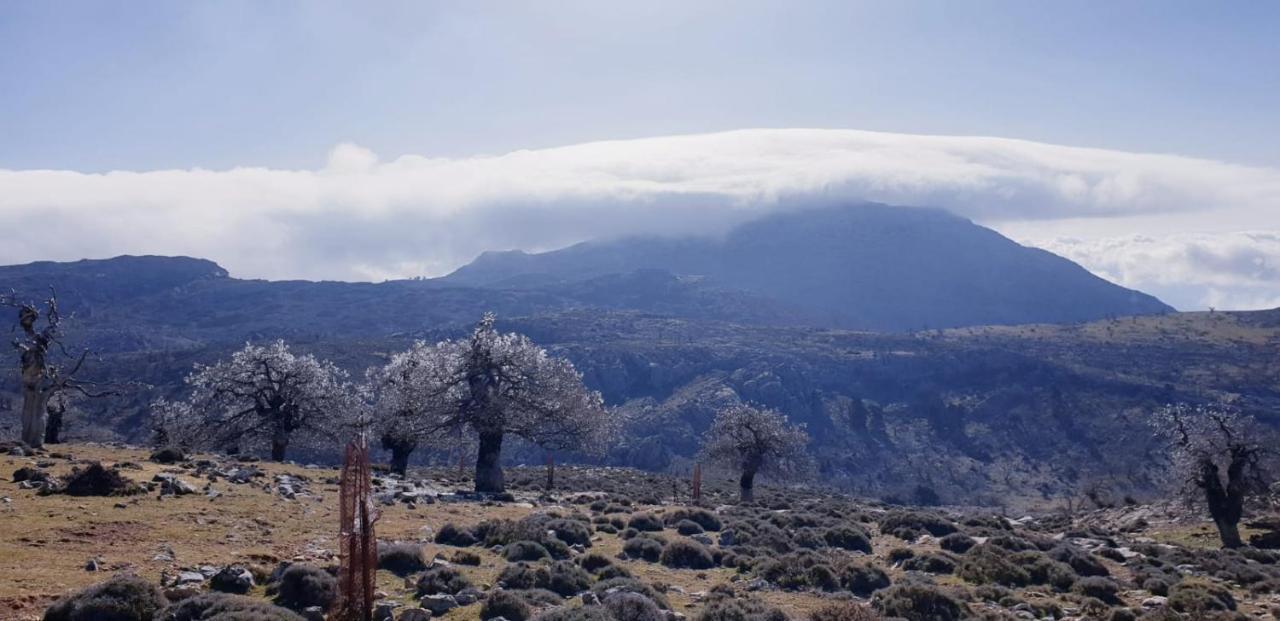Hotel Sierra Hidalga Ronda Kültér fotó
